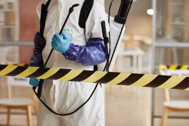 Professional Sewage Cleanup technician working in Newfield, ME